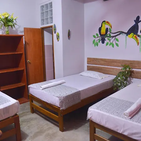 Amazon House Hostel-2